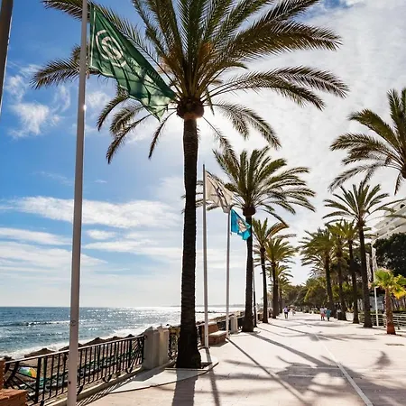 Apartamento Jardines Del Mar 527