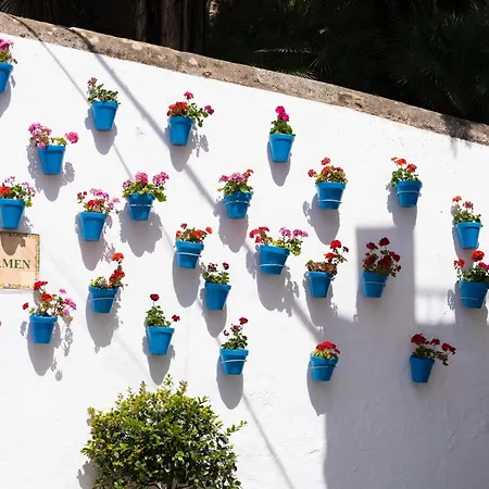 Jardines Del Mar 527 Apartment Marbella