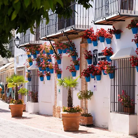 Apartment Jardines Del Mar 527