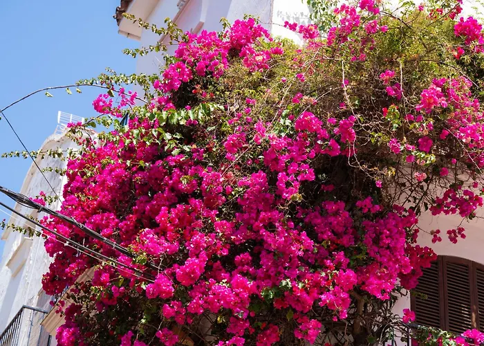 Appartamento Jardines Del Mar 527 *